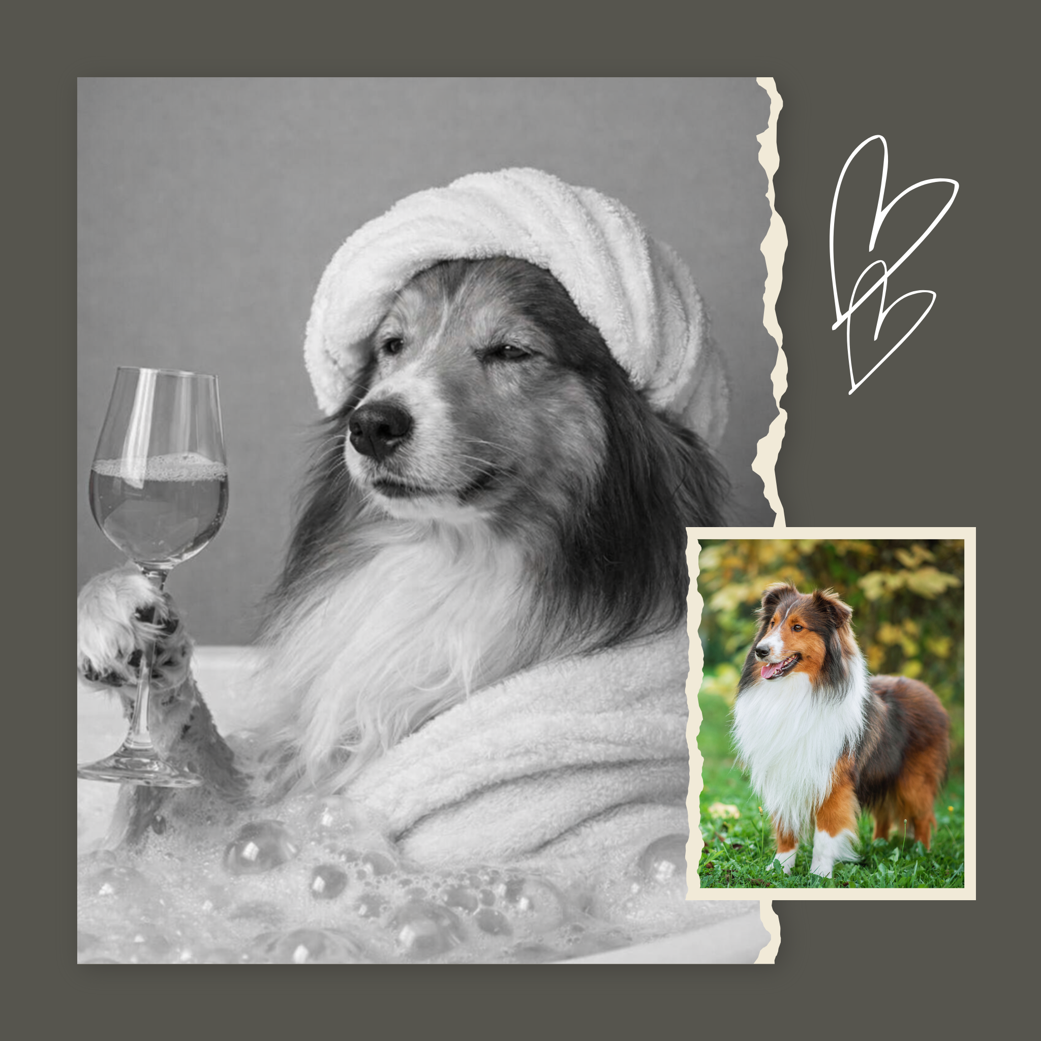 Custom Personalized Dog Cat Pet Bathroom Portrait Wall Art - Digital Downloads